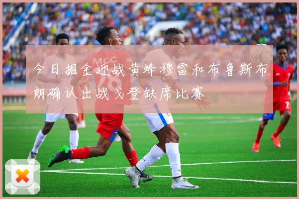 今日掘金迎战黄蜂穆雷和布鲁斯布朗确认出战戈登缺席比赛